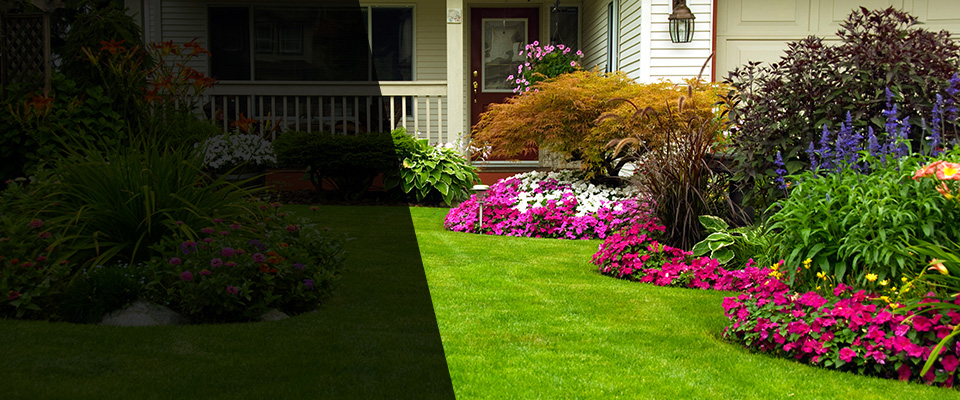 Stephenson Landscapers