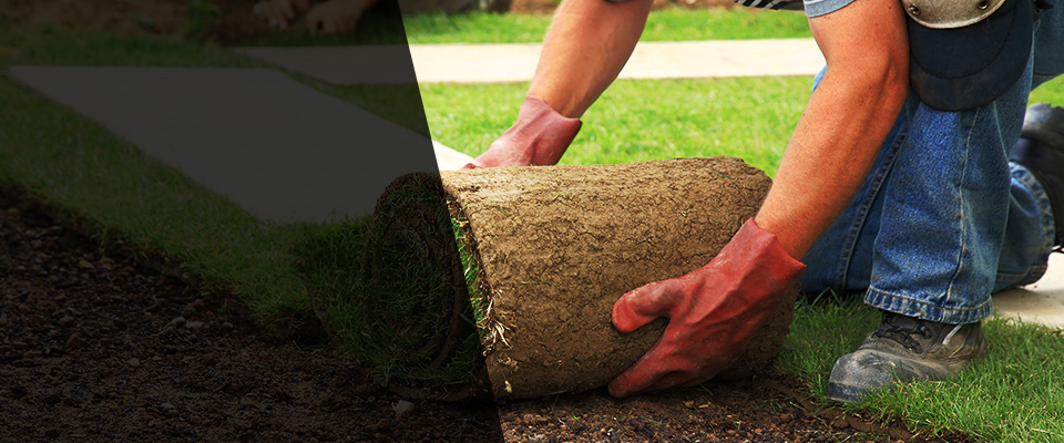 Stephenson Landscapers